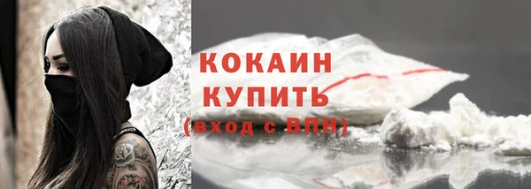 сатива Кулебаки