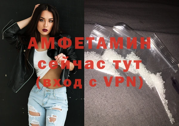 сатива Кулебаки