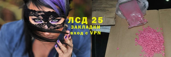 сатива Кулебаки