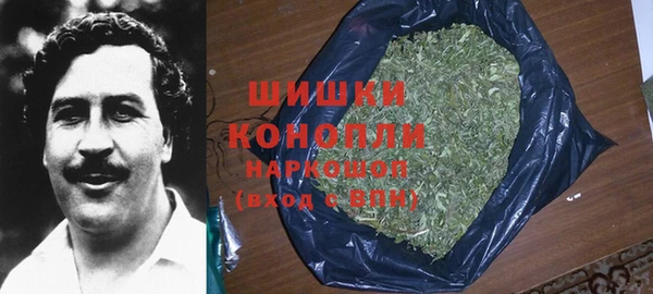 сатива Кулебаки