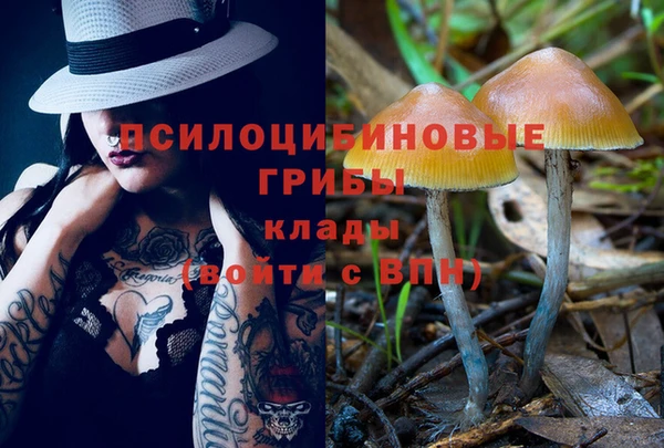 сатива Кулебаки