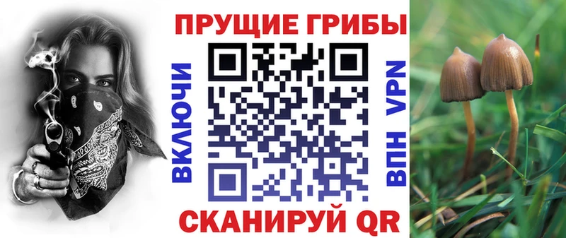 Псилоцибиновые грибы мицелий  Купить  Алушта 